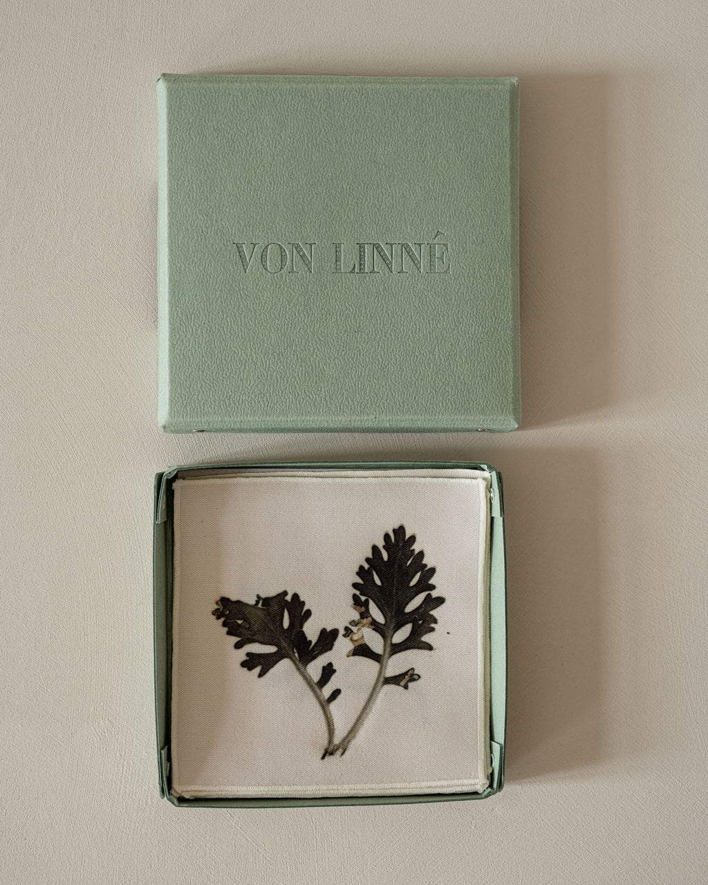 VON LINNÉ, Cocktail Napkins, 05