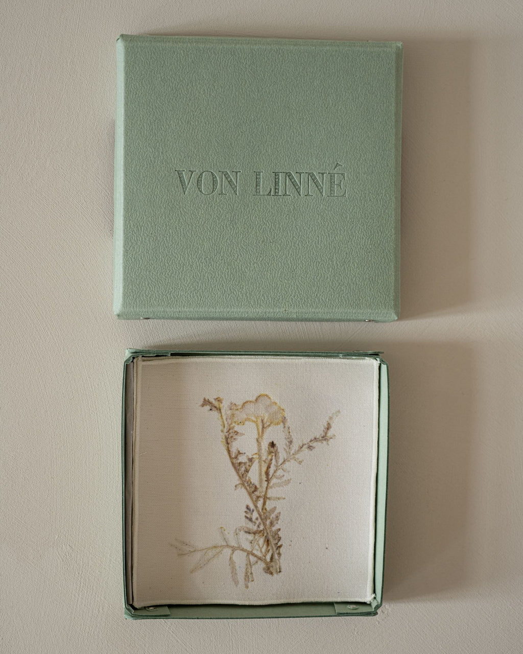 VON LINNÉ, Cocktail Napkins, 12