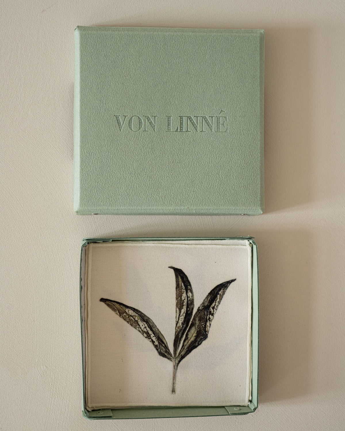 VON LINNÉ, Cocktail Napkins, 06