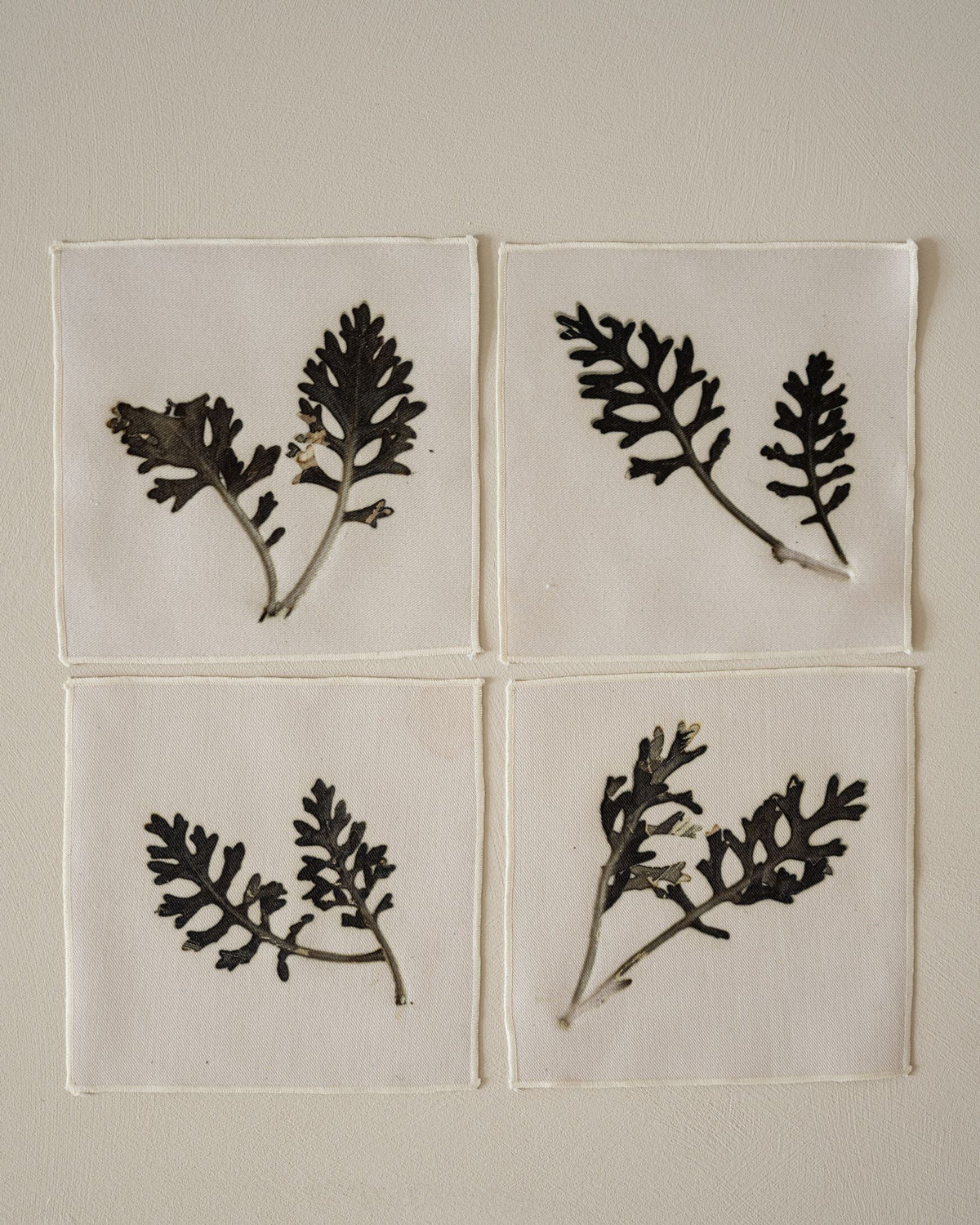 VON LINNÉ, Cocktail Napkins, 05