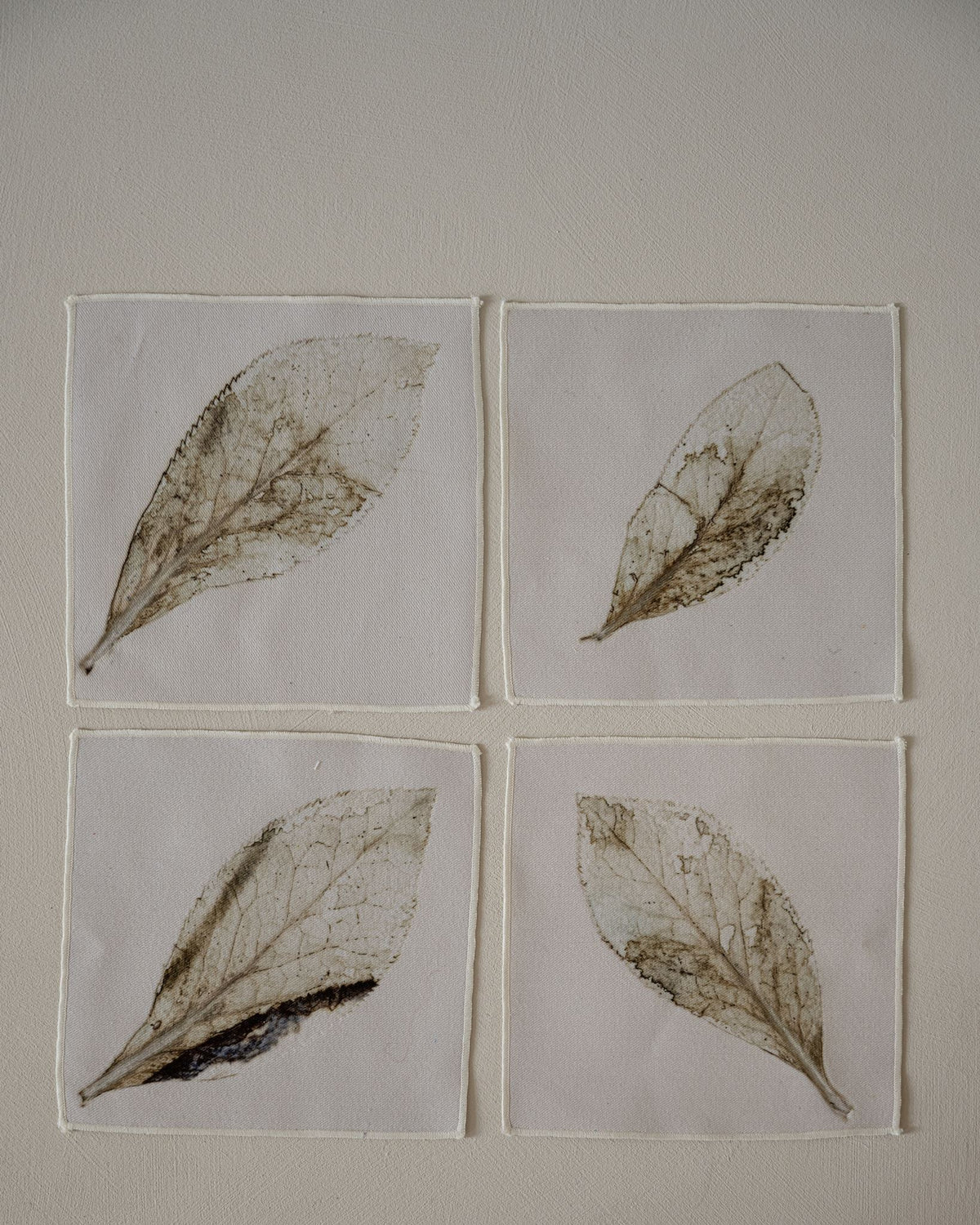 VON LINNÉ, Cocktail Napkins, 13