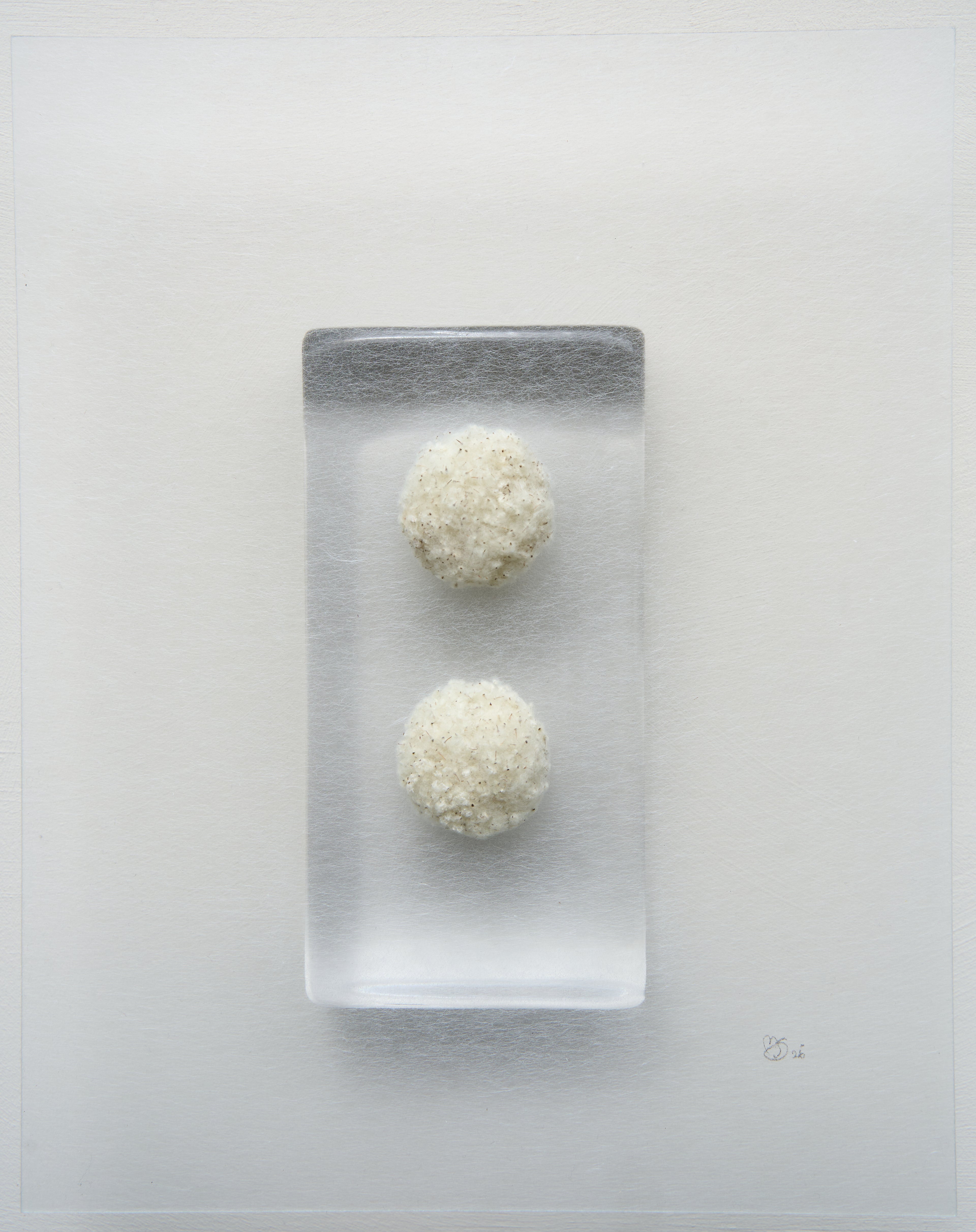 Mette Skjærbæk, Hebarium, Duality