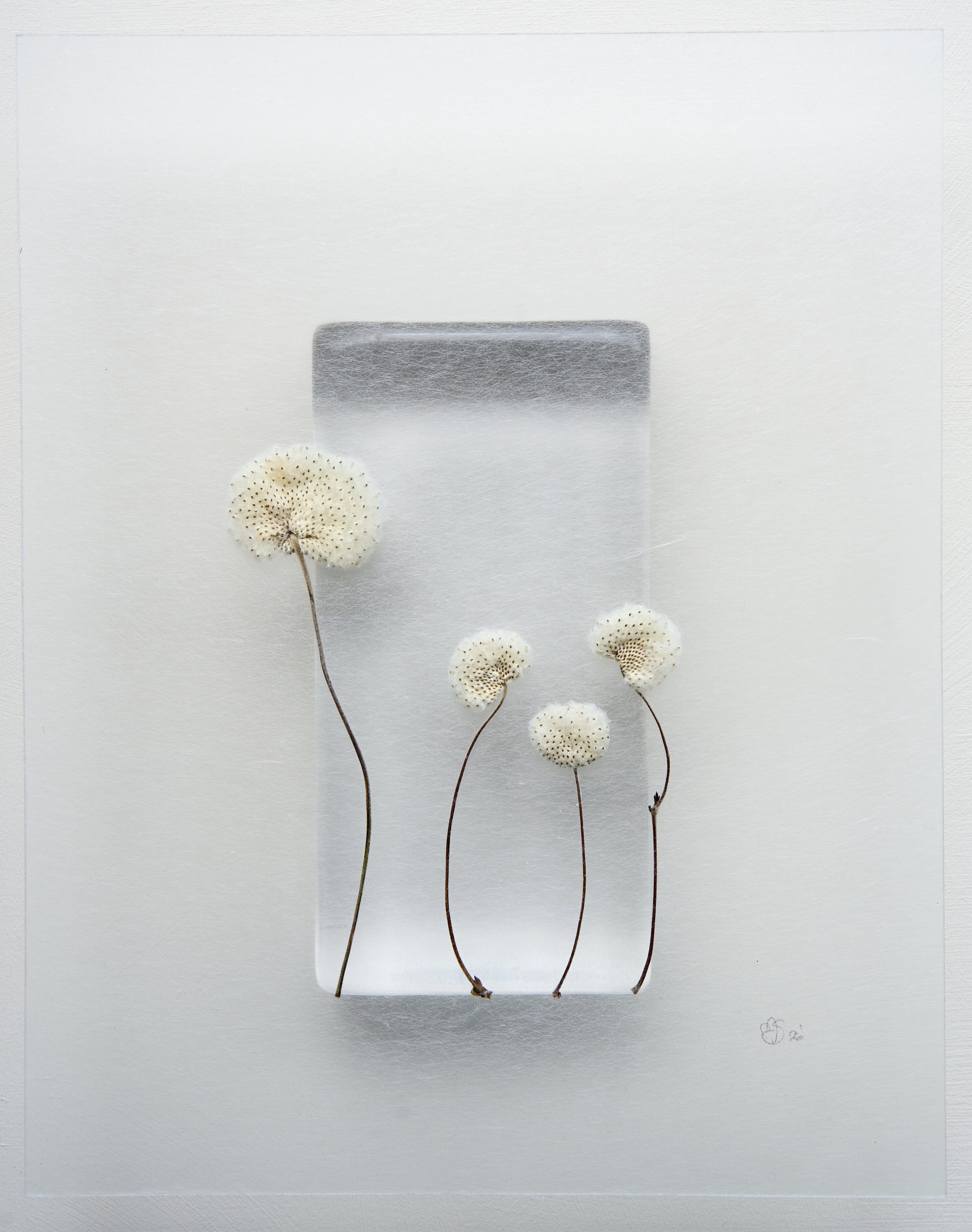 Mette Skjærbæk, Hebarium, Kin 4