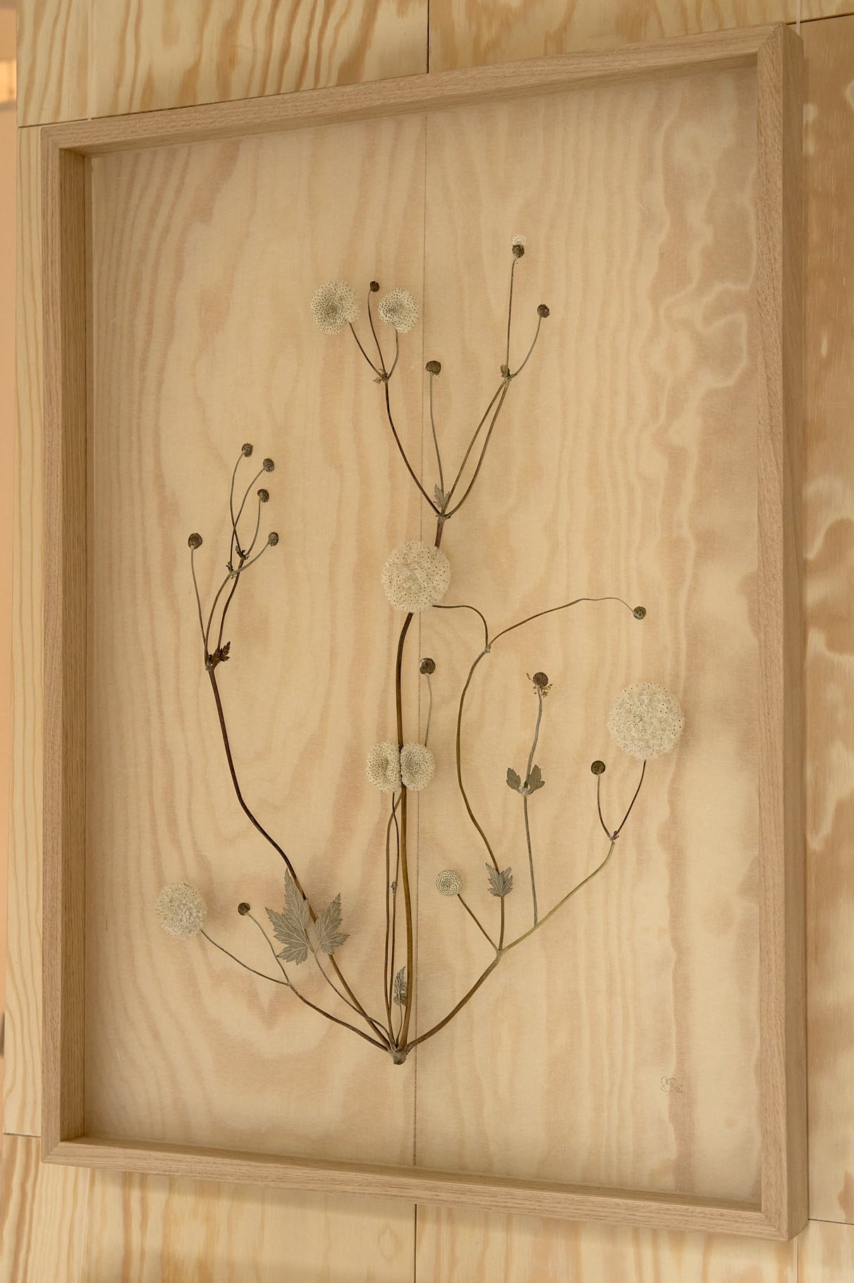 Mette Skjærbæk, Hebarium, Botanical kintsugi