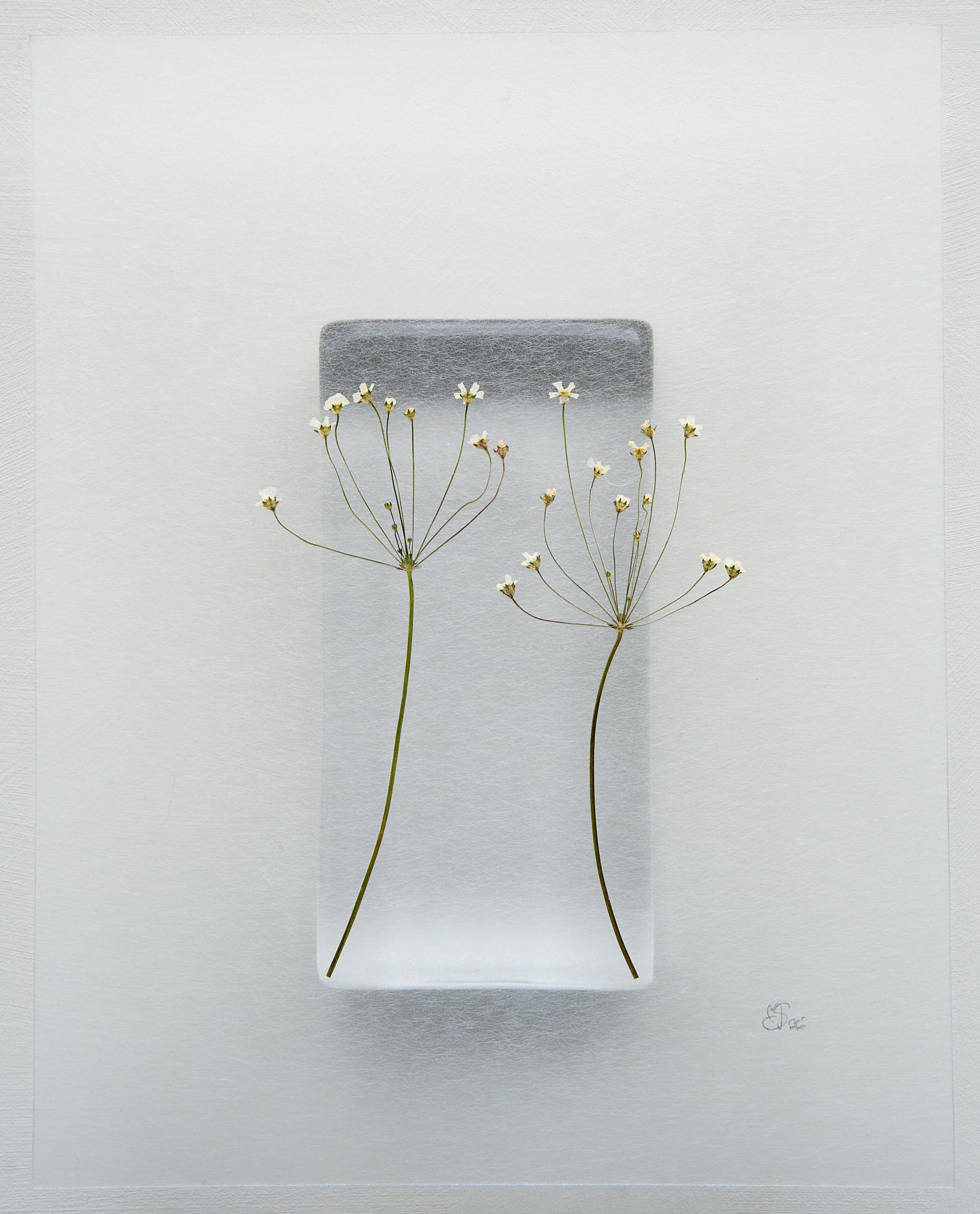 Mette Skjærbæk, Hebarium, Tête-à-tête