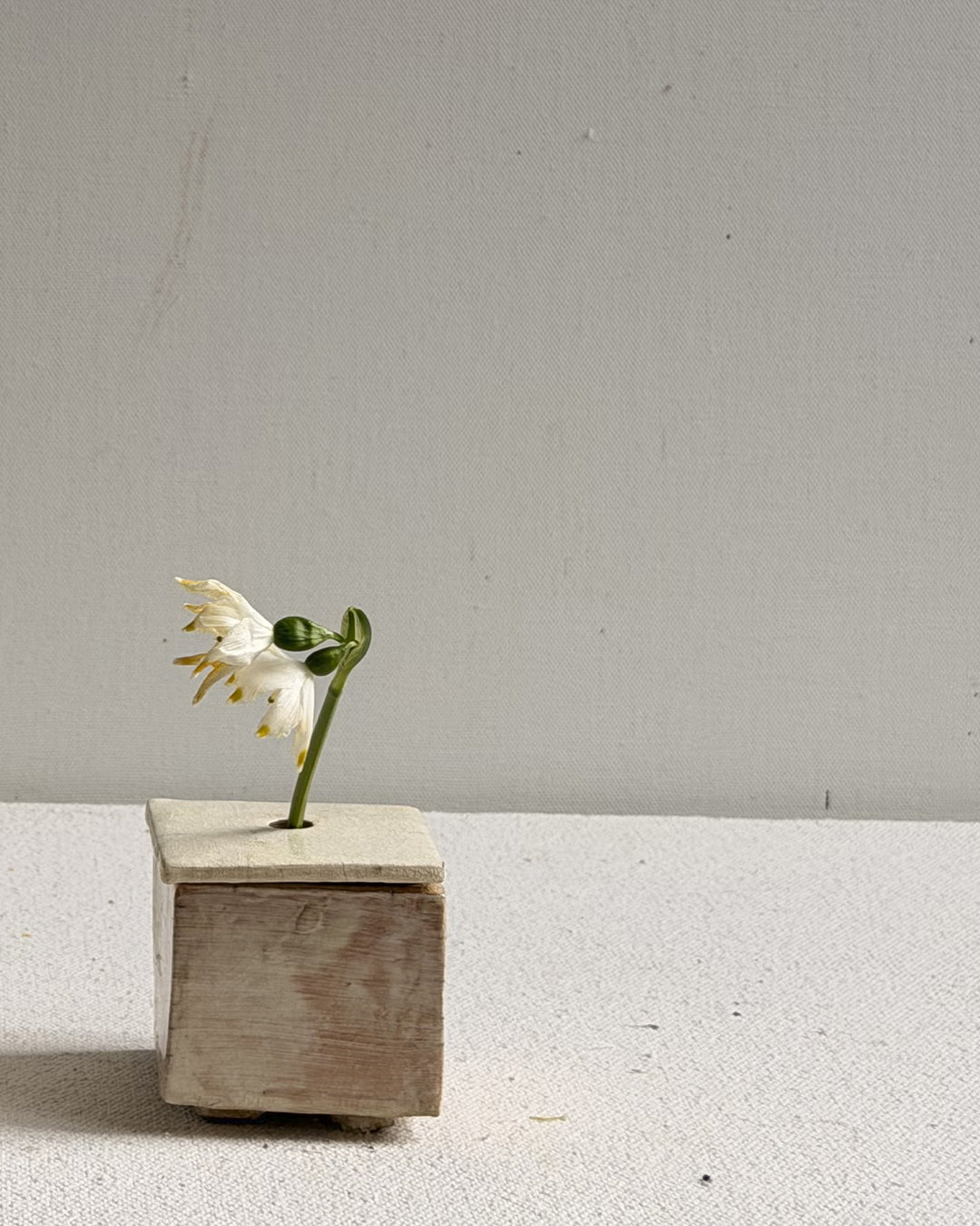 Cécile Daladier, Pique-fleurs Boite 3