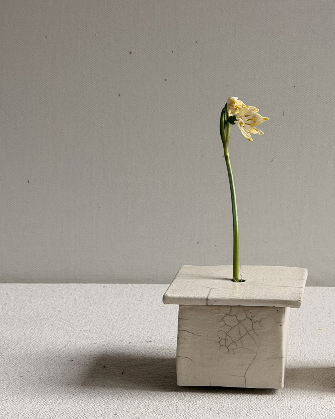 Cécile Daladier, Pique-fleurs Boite 2