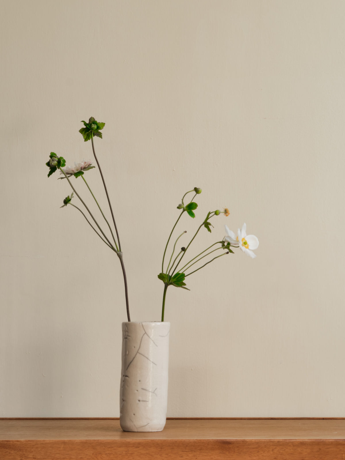 Cécile Daladier, Vase Tube