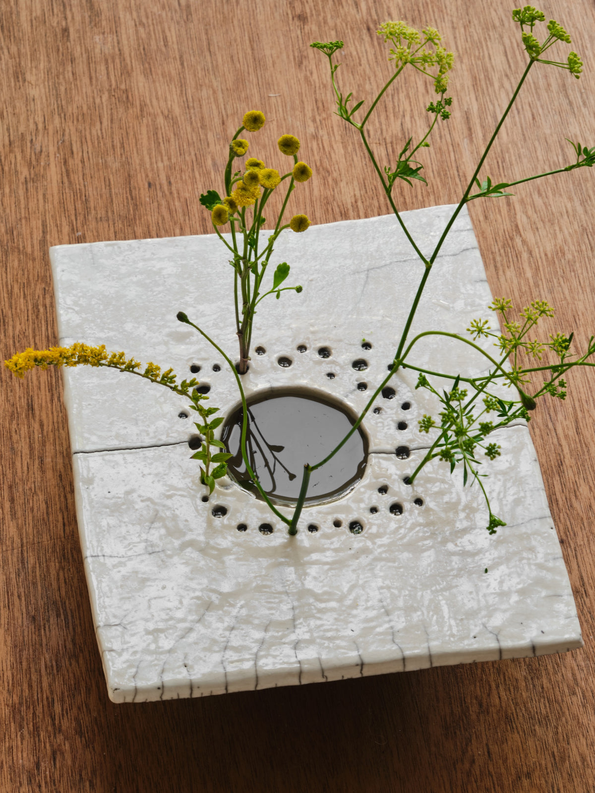Cécile Daladier, Pique-Fleurs en Plateau, 03