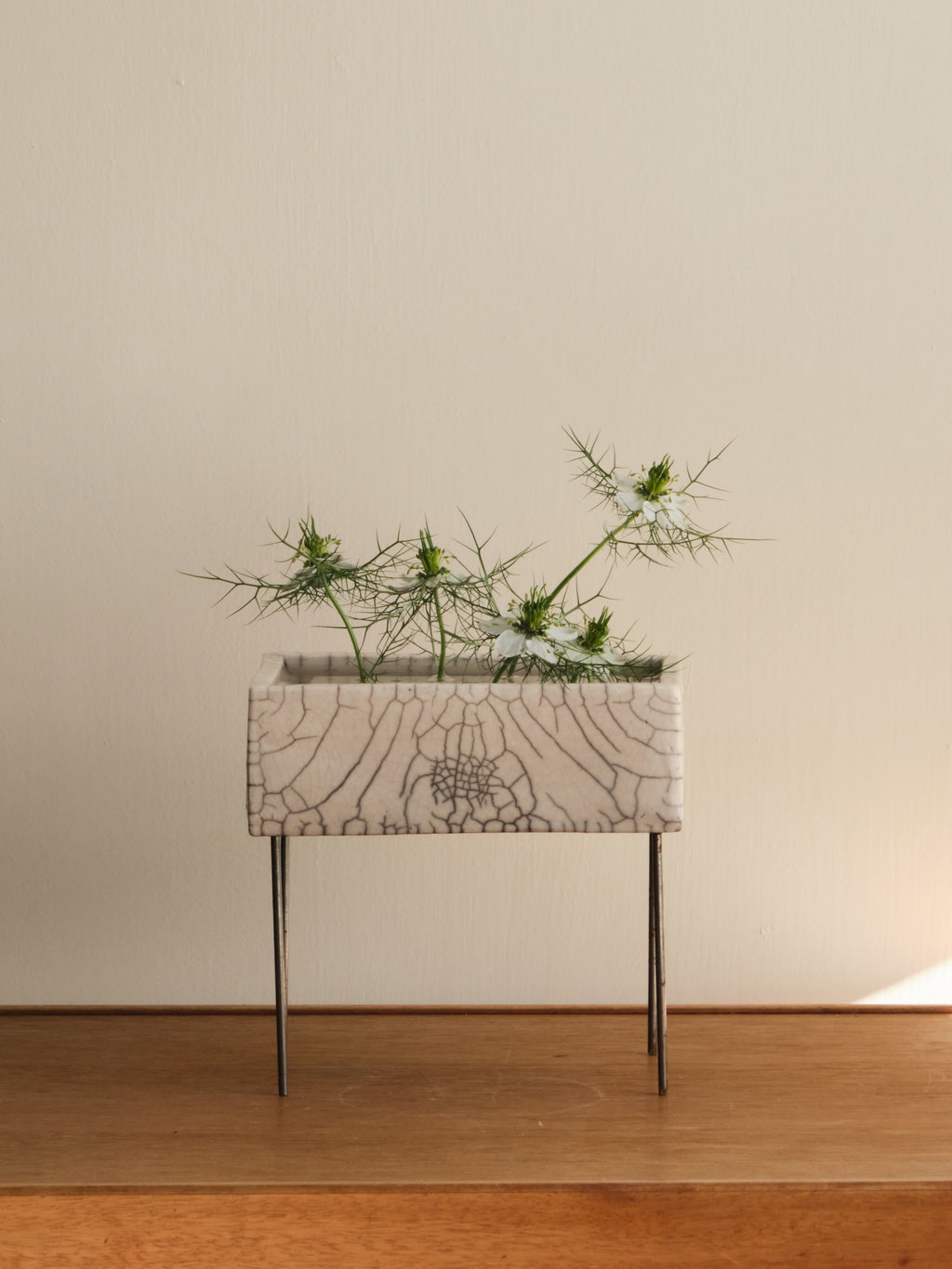 Cécile Daladier, Pique-Fleurs-Chapteur, 01
