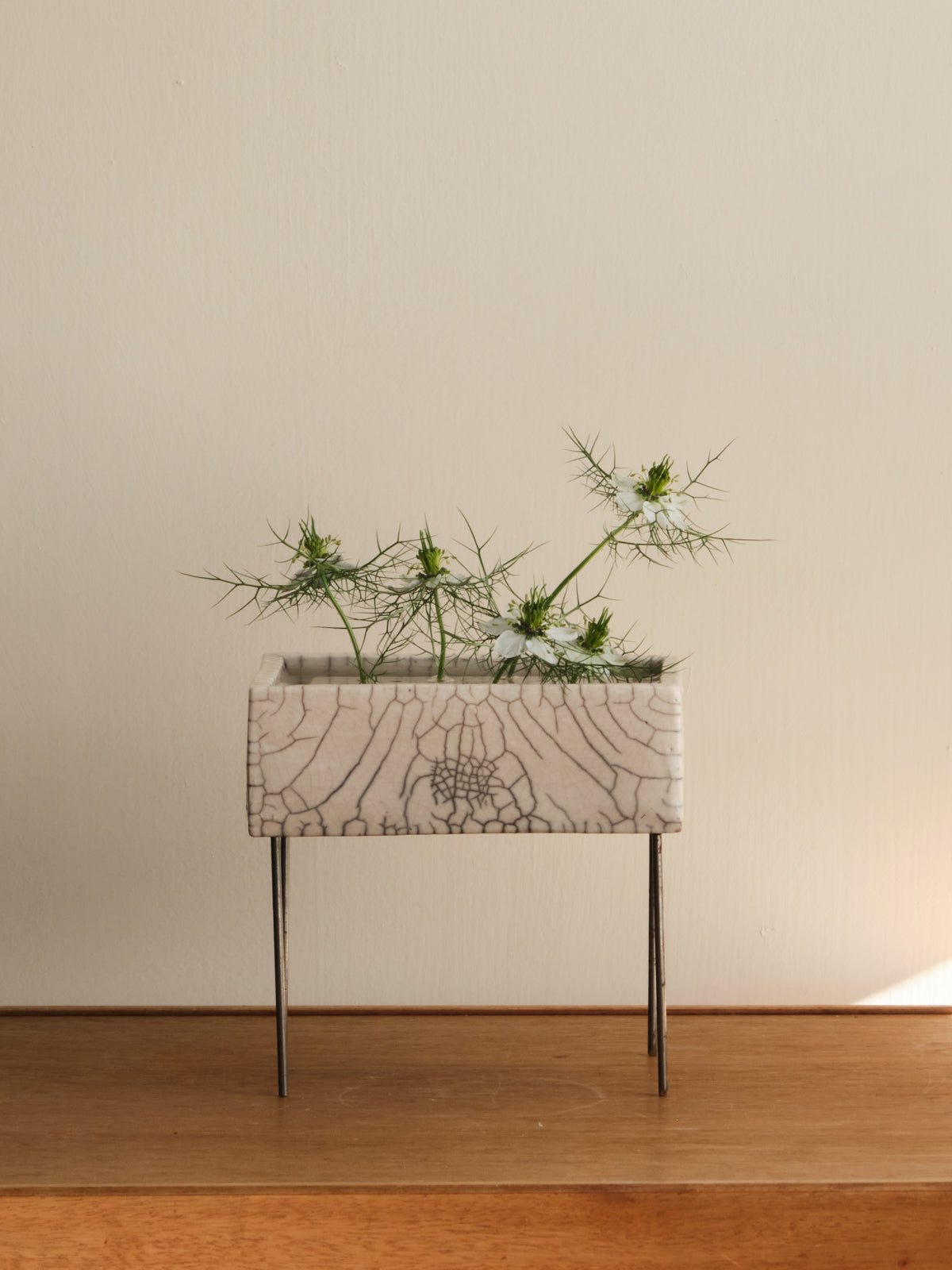Cécile Daladier, Pique-Fleurs-Chapteur, 01
