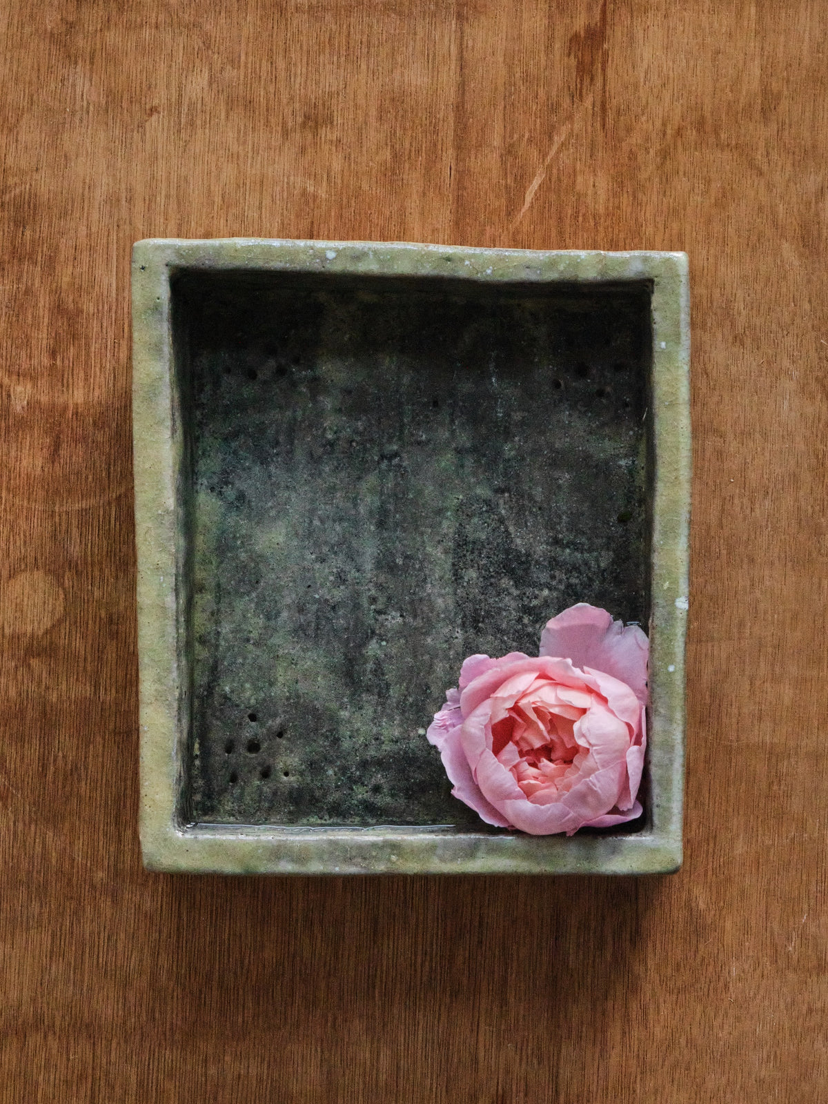 Cécile Daladier, Pique-fleurs En Bassin Vert Mousse