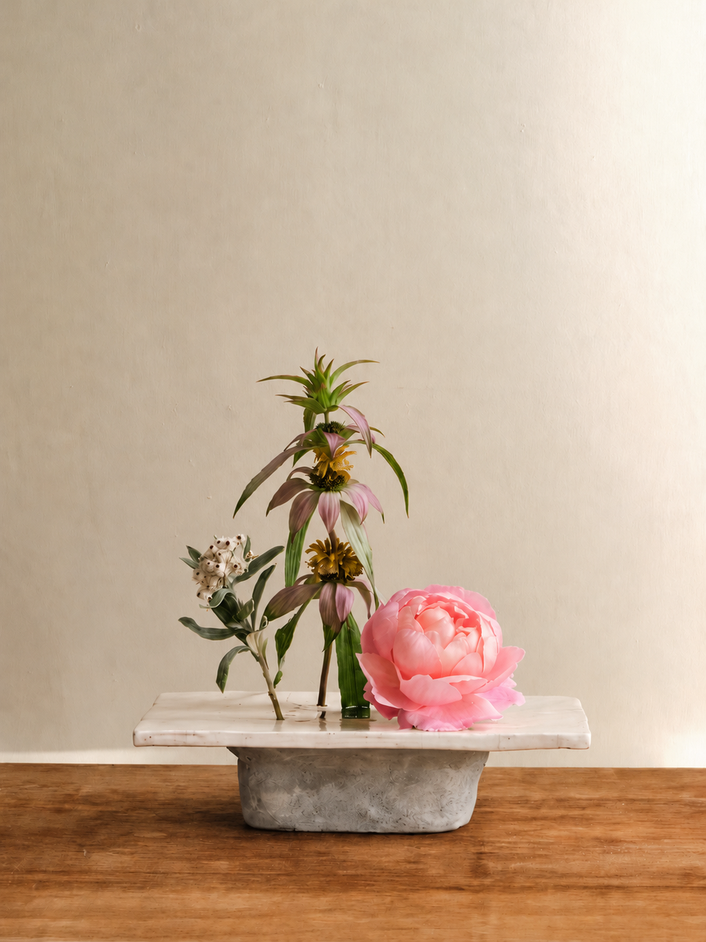 Cécile Daladier, Pique-Fleurs en Plateau, 02
