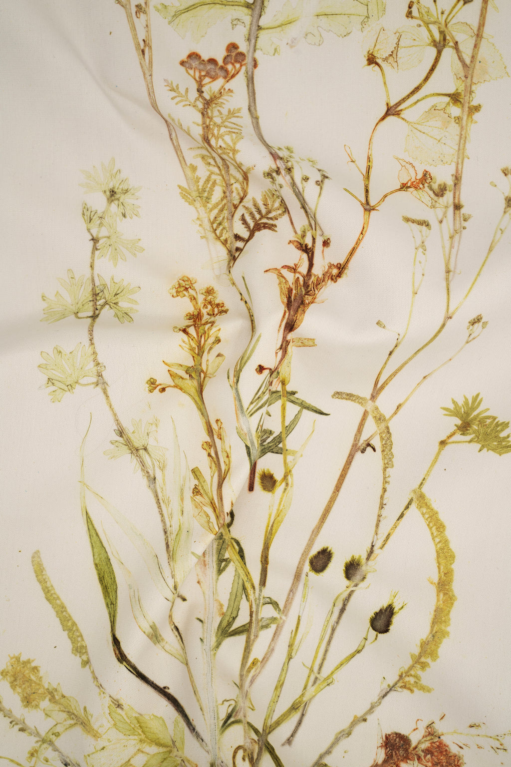 VON LINNÉ, Table Linen, Line of Leaves, Citrus Tones, Large