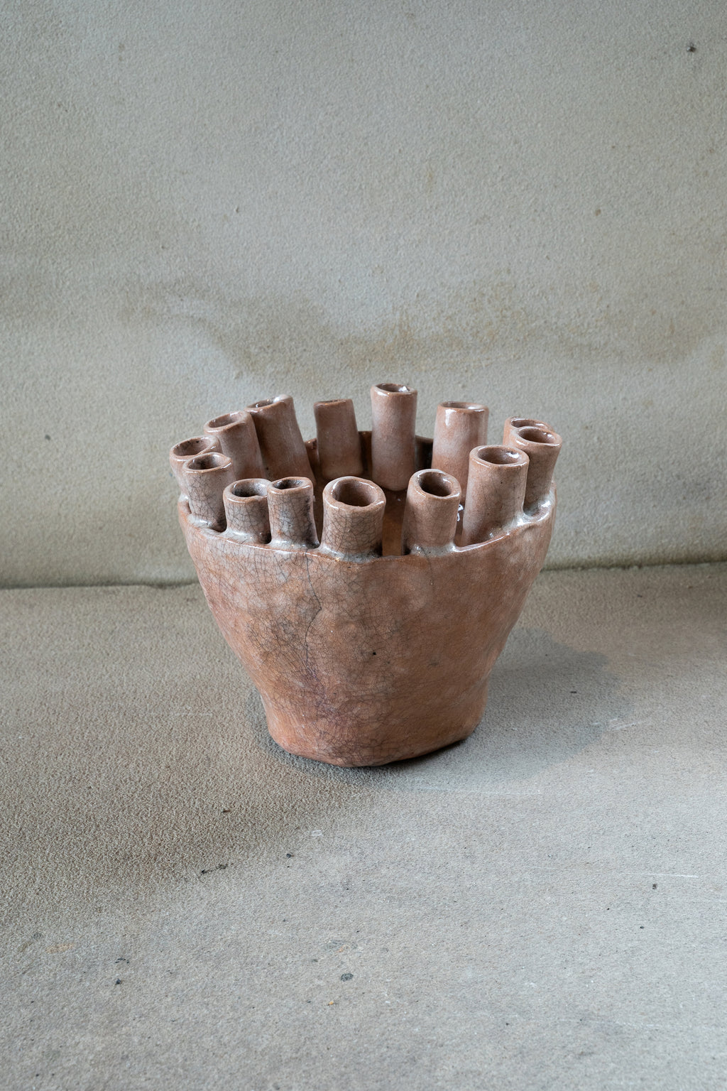 Cécile Daladier, Tulipier 15 Tubes