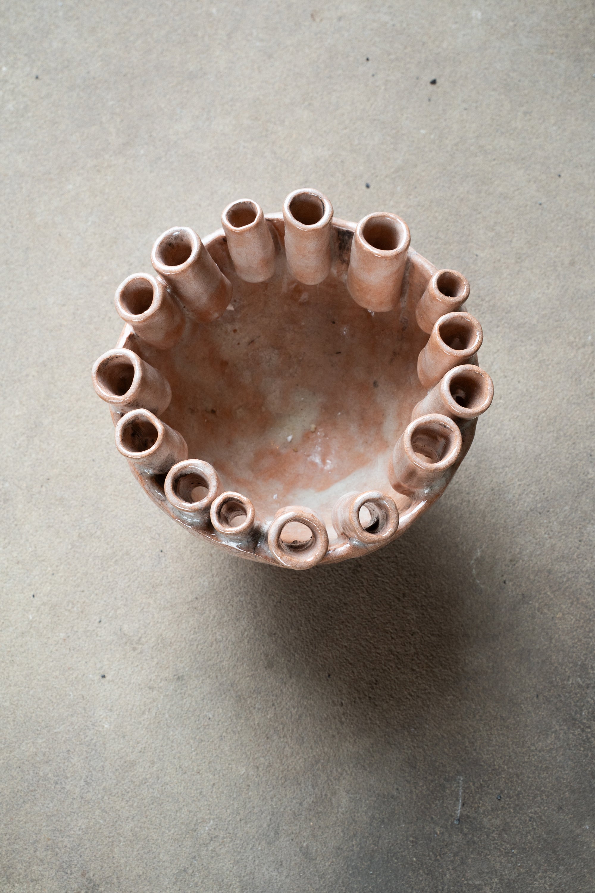 Cécile Daladier, Tulipier 15 Tubes