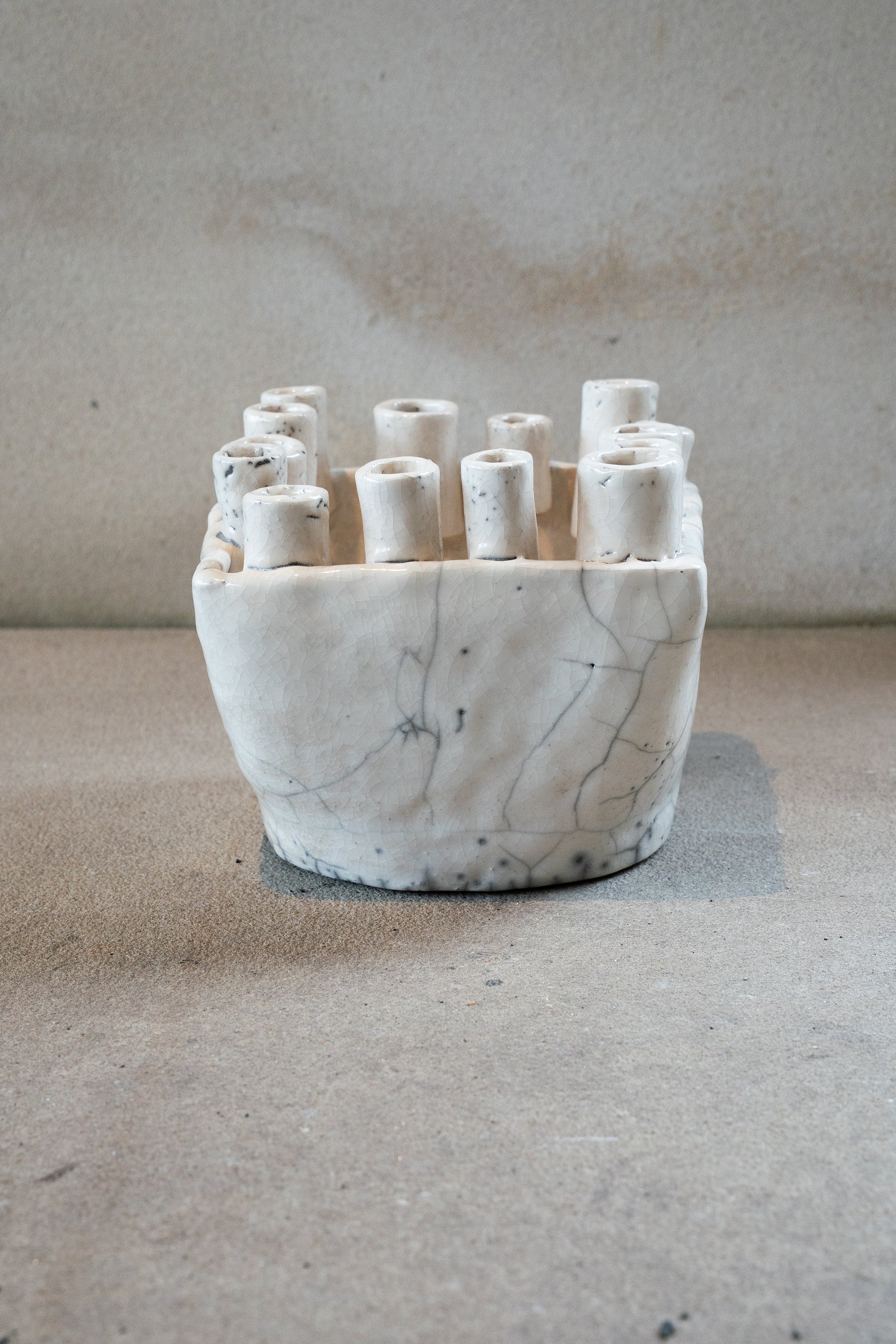 Cécile Daladier, Tulipier 14 Tubes
