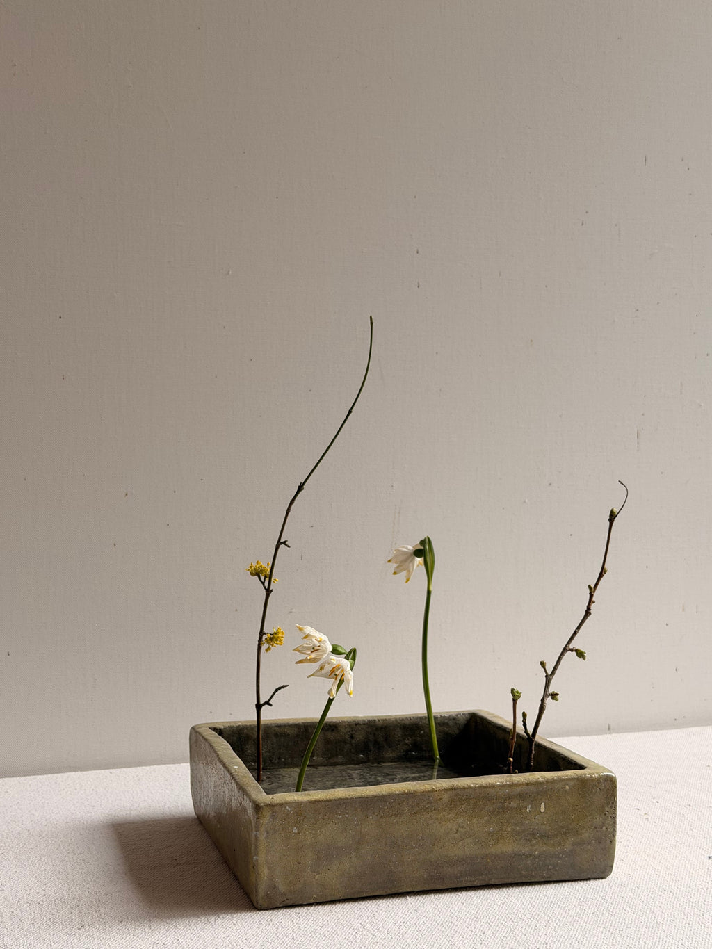 Cécile Daladier, Pique-fleurs En Bassin Vert Mousse