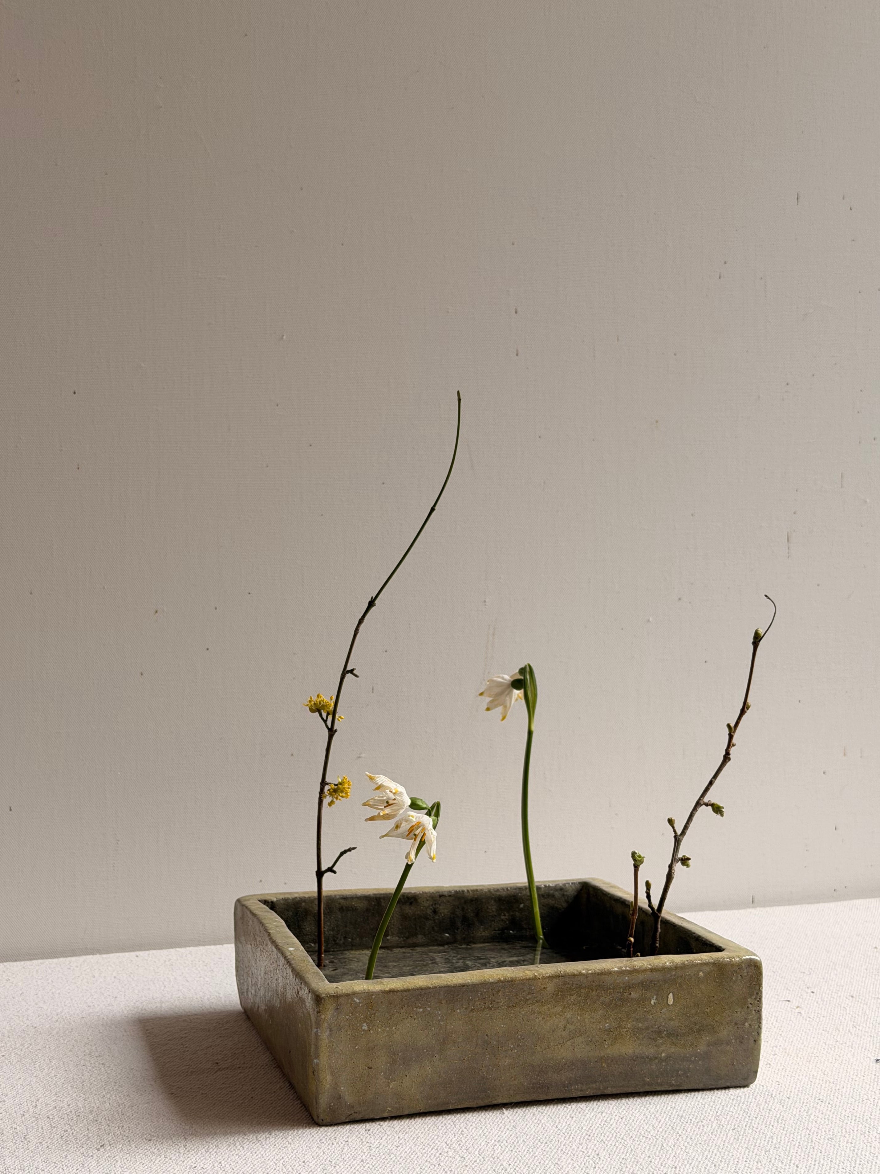 Cécile Daladier, Pique-fleurs En Bassin Vert Mousse