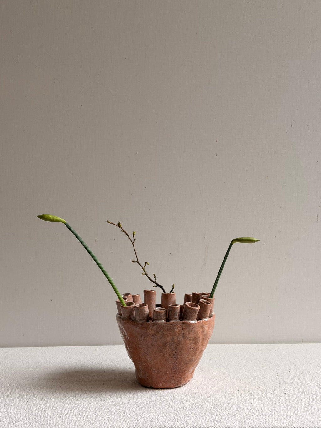 Cécile Daladier, Tulipier 15 Tubes