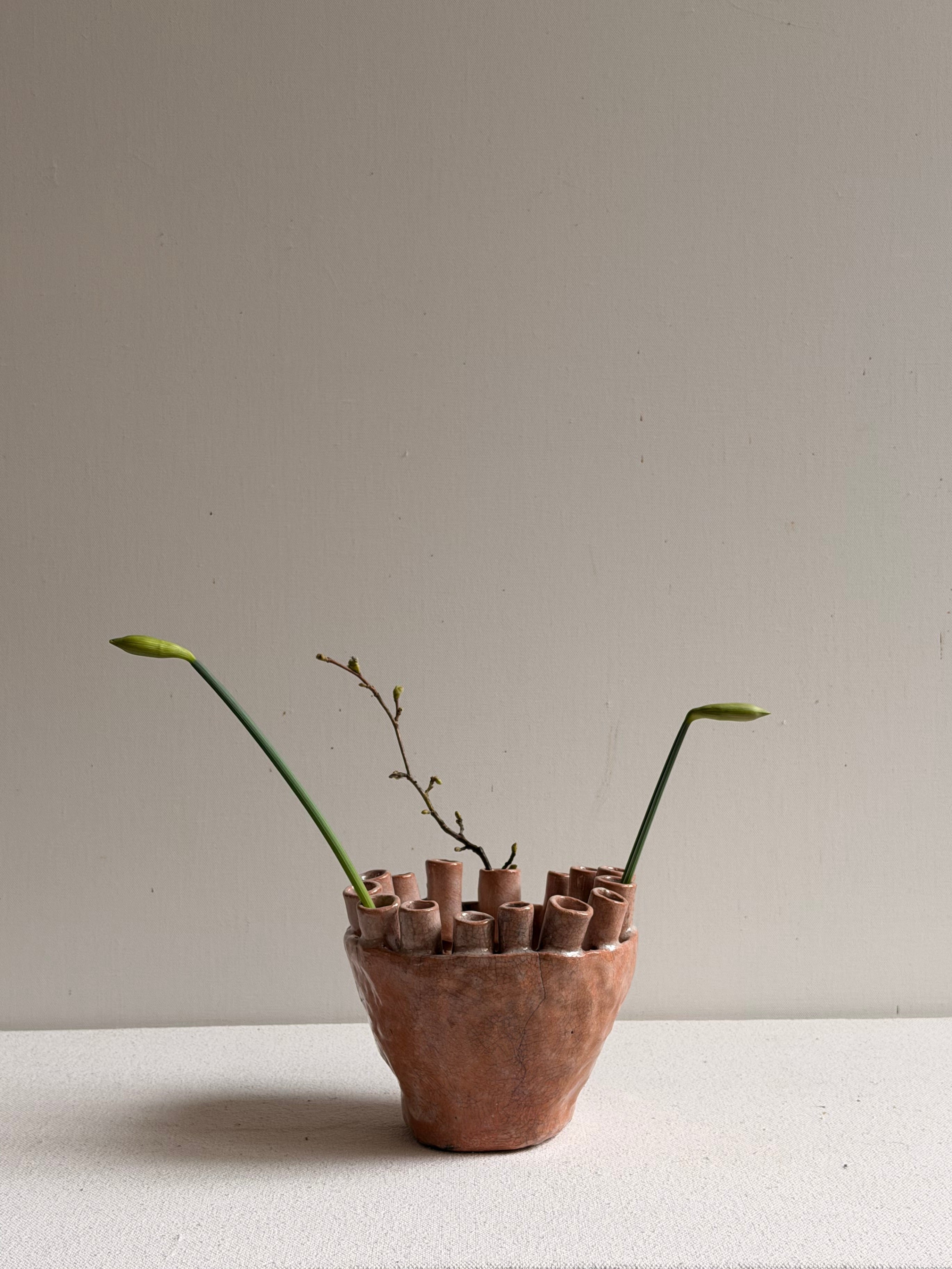 Cécile Daladier, Tulipier 15 Tubes