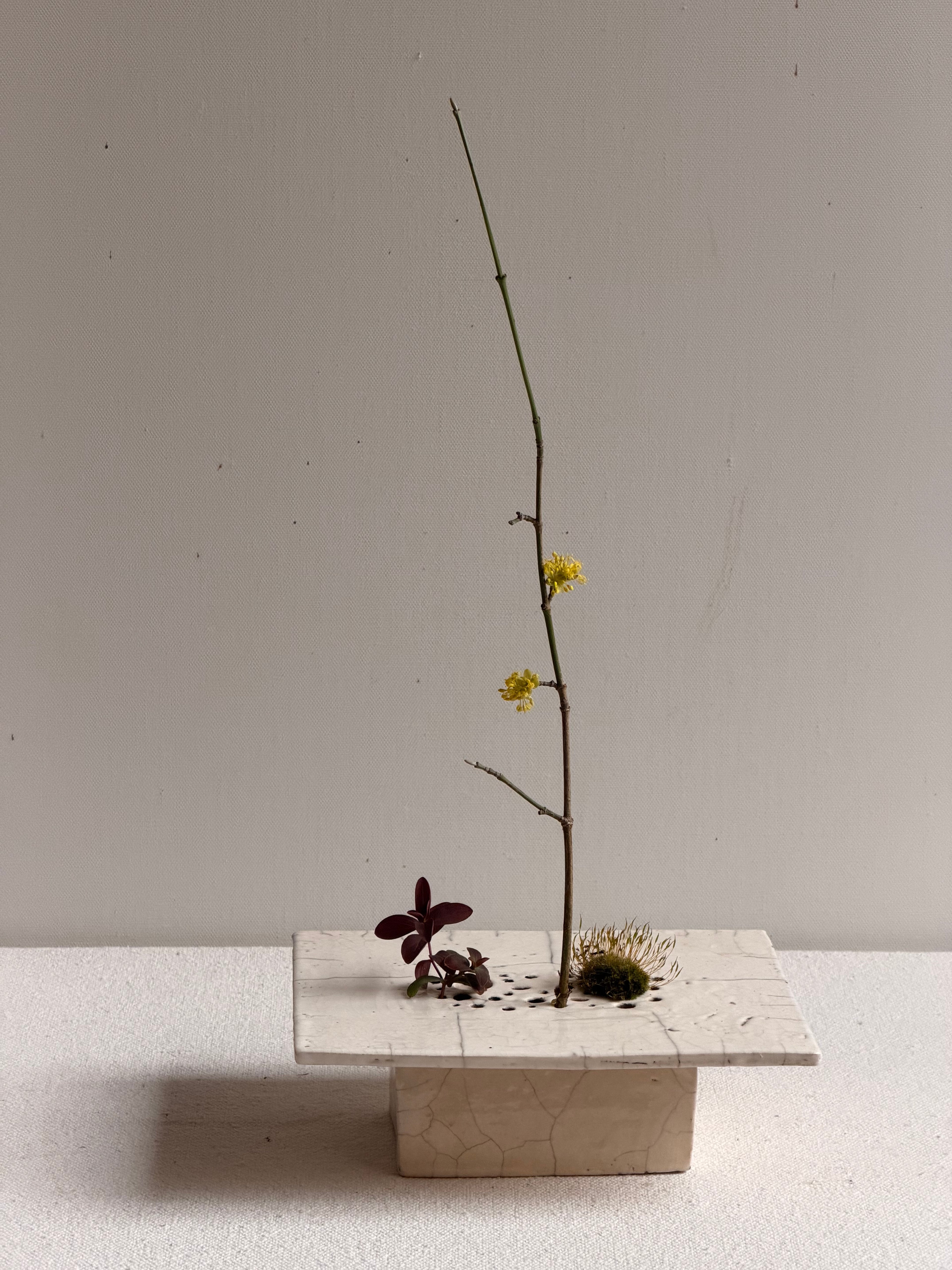 Cécile Daladier, Pique-fleurs En Plateau