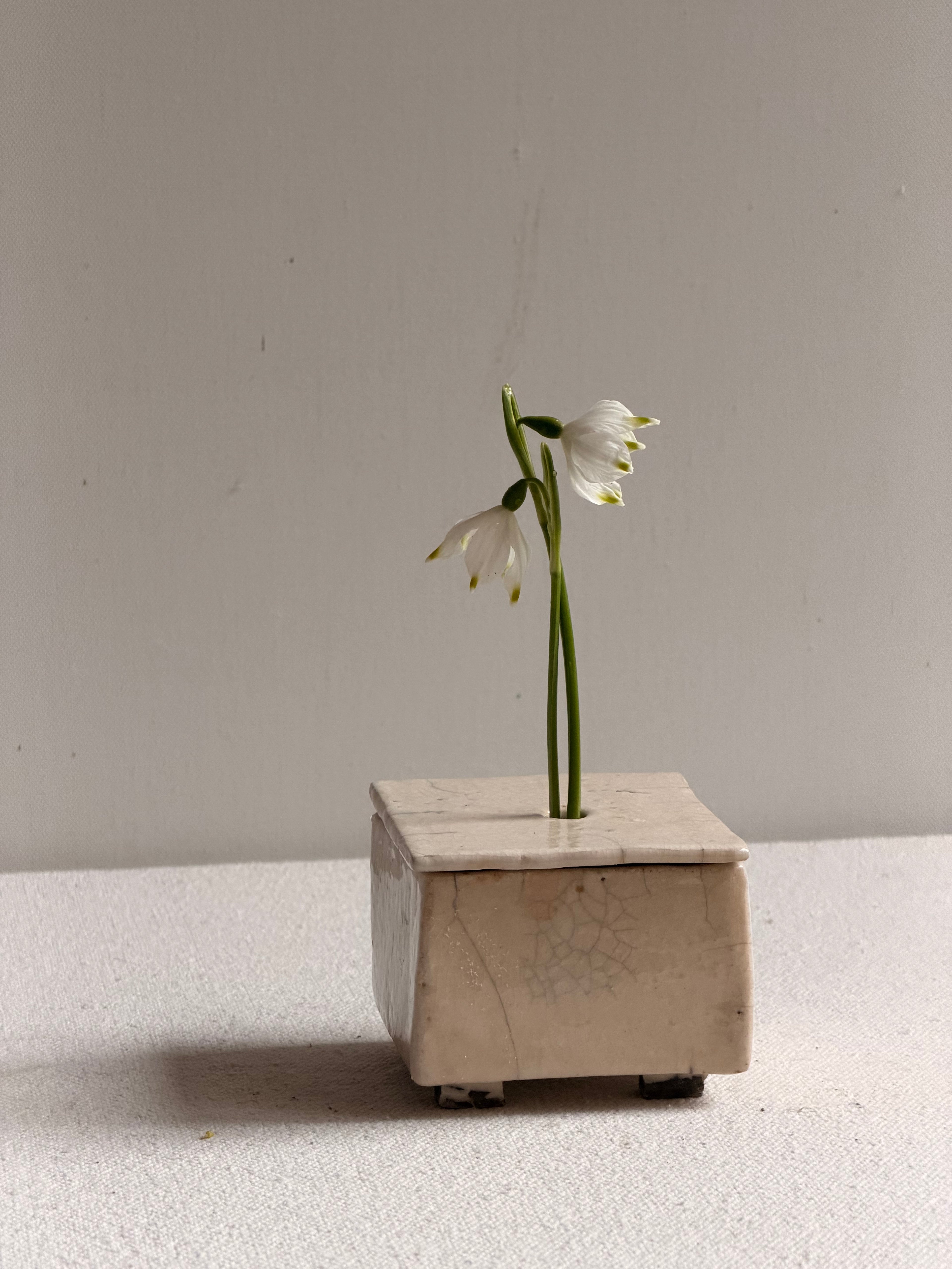 Cécile Daladier, Boîte à Fleur 1