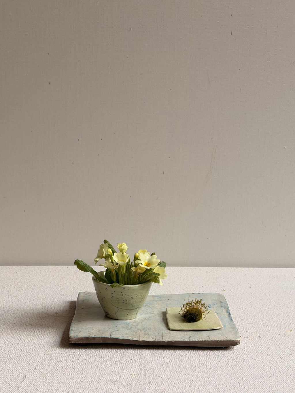 Cécile Daladier, Petit Plateau Avec Tasse