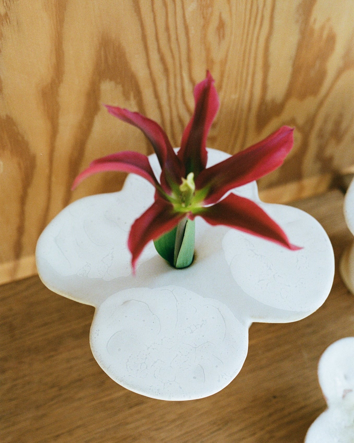 Yukari Hotta, Hana Vase, Small, 04