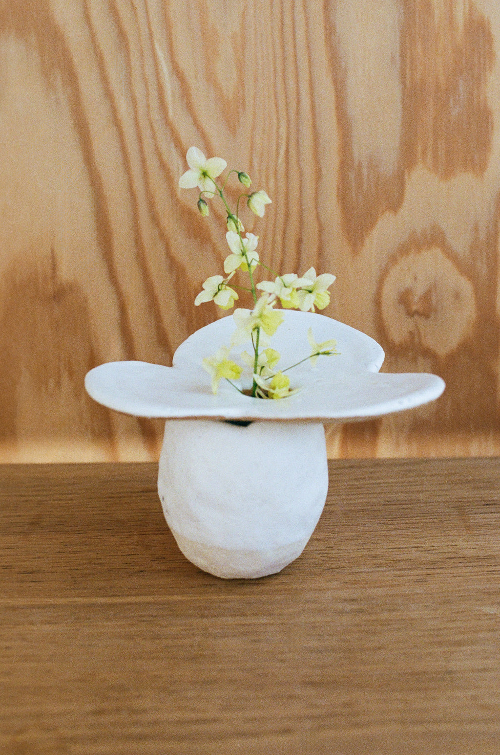 Yukari Hotta, Hana Vase, Small, 06