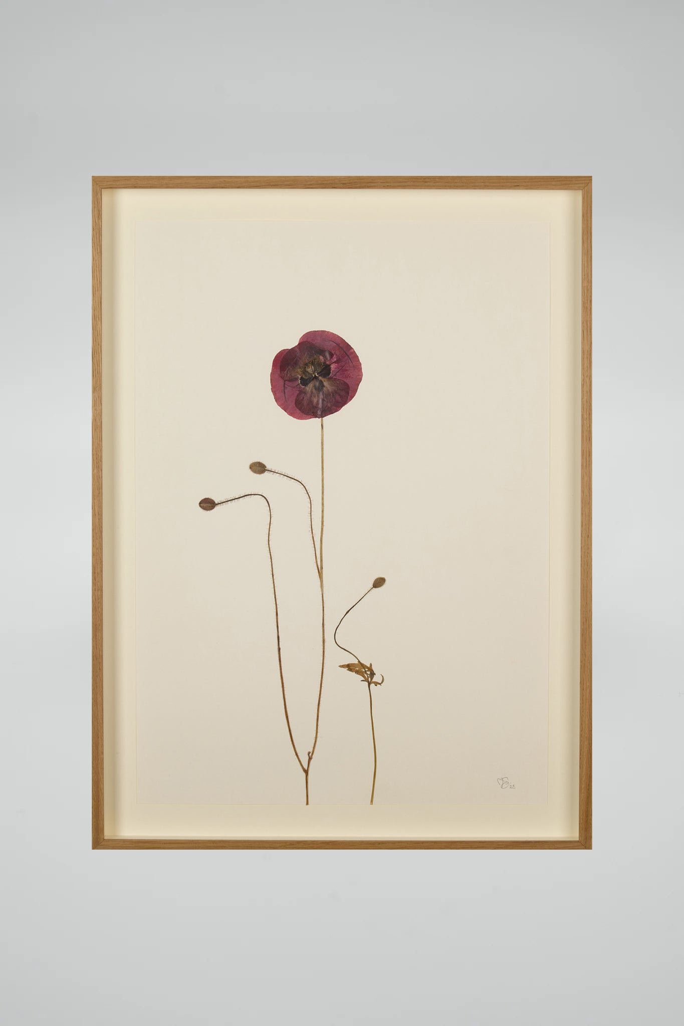 Mette Skjærbæk, Hebarium, Poppy, Large, 01