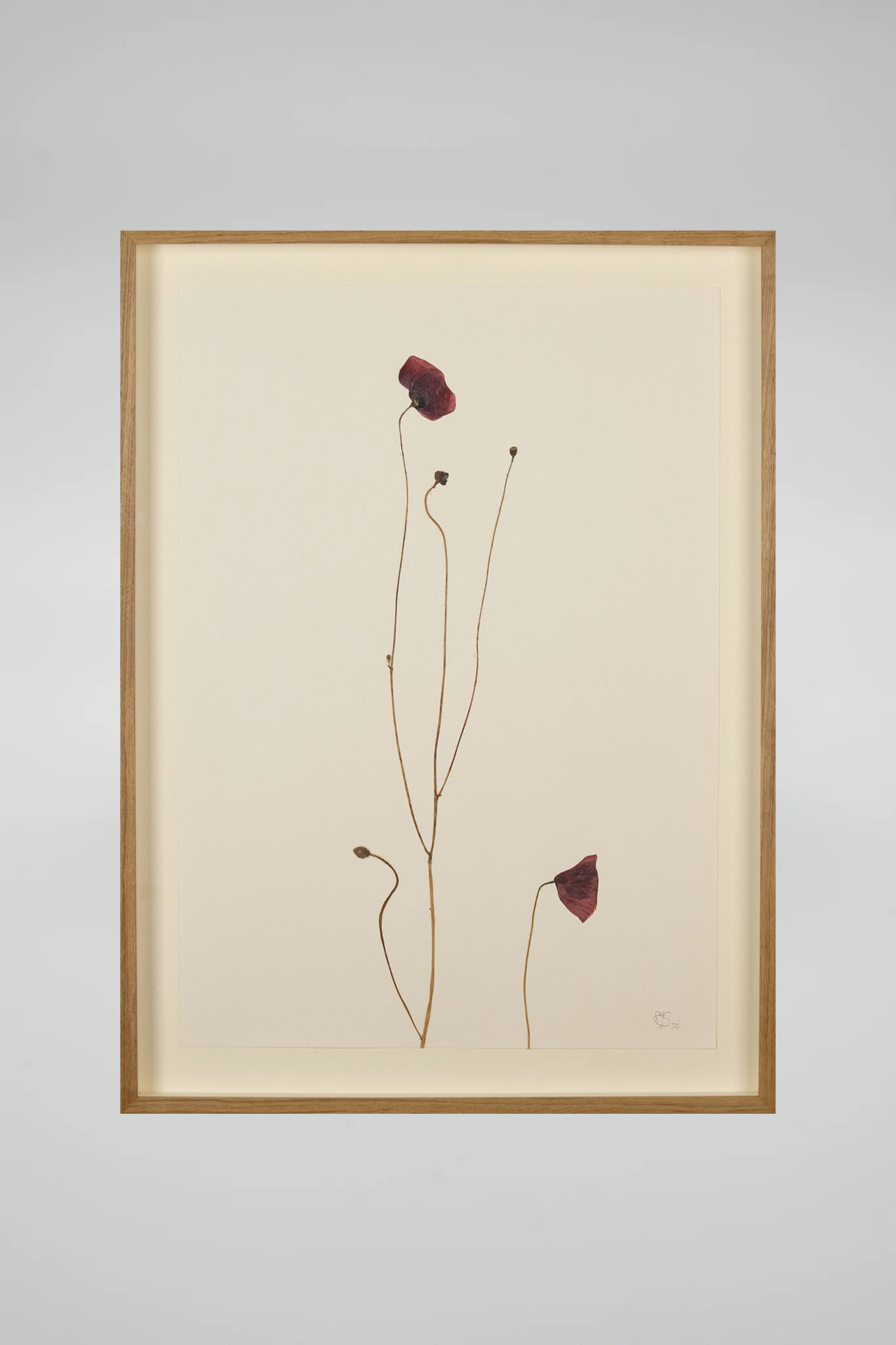Mette Skjærbæk, Hebarium, Poppy, Large, 02