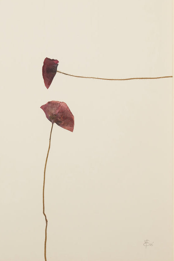 Mette Skjærbæk, Hebarium, Poppy, Large, 03