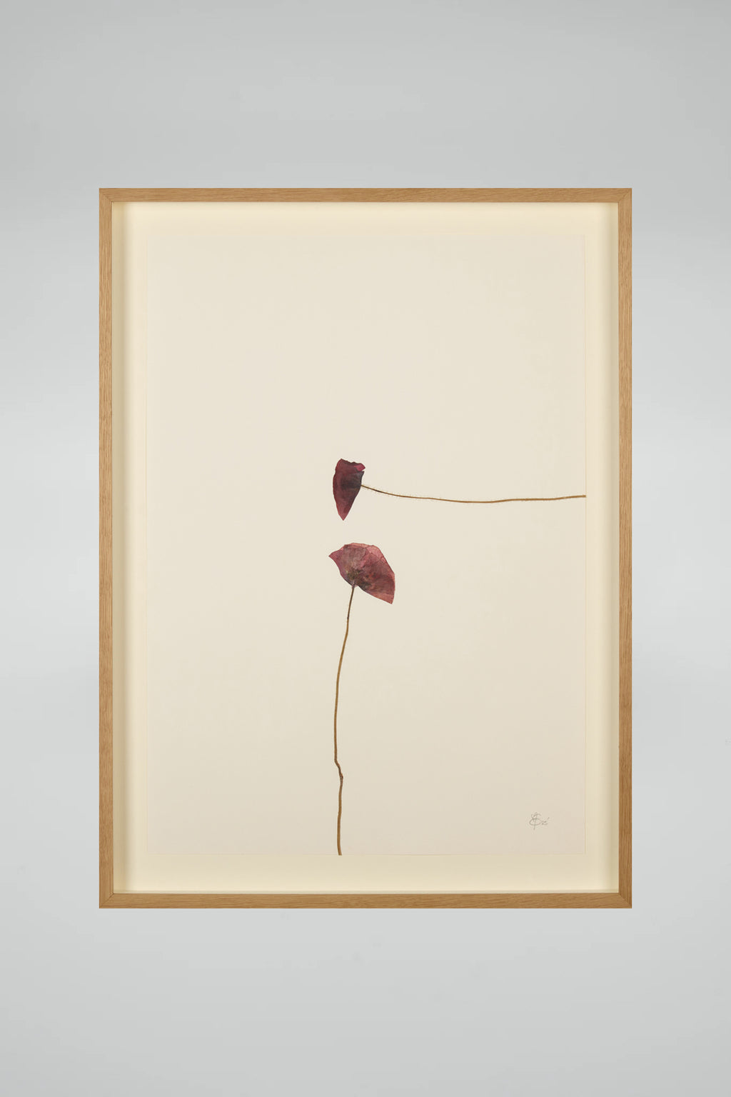 Mette Skjærbæk, Hebarium, Poppy, Large, 03