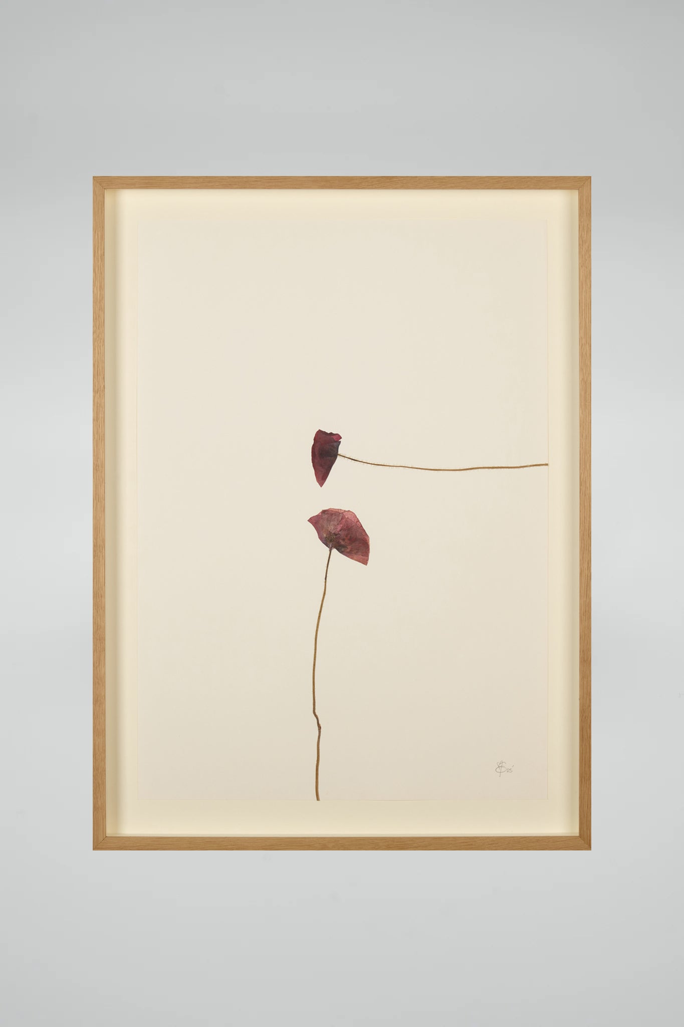 Mette Skjærbæk, Hebarium, Poppy, Large, 03