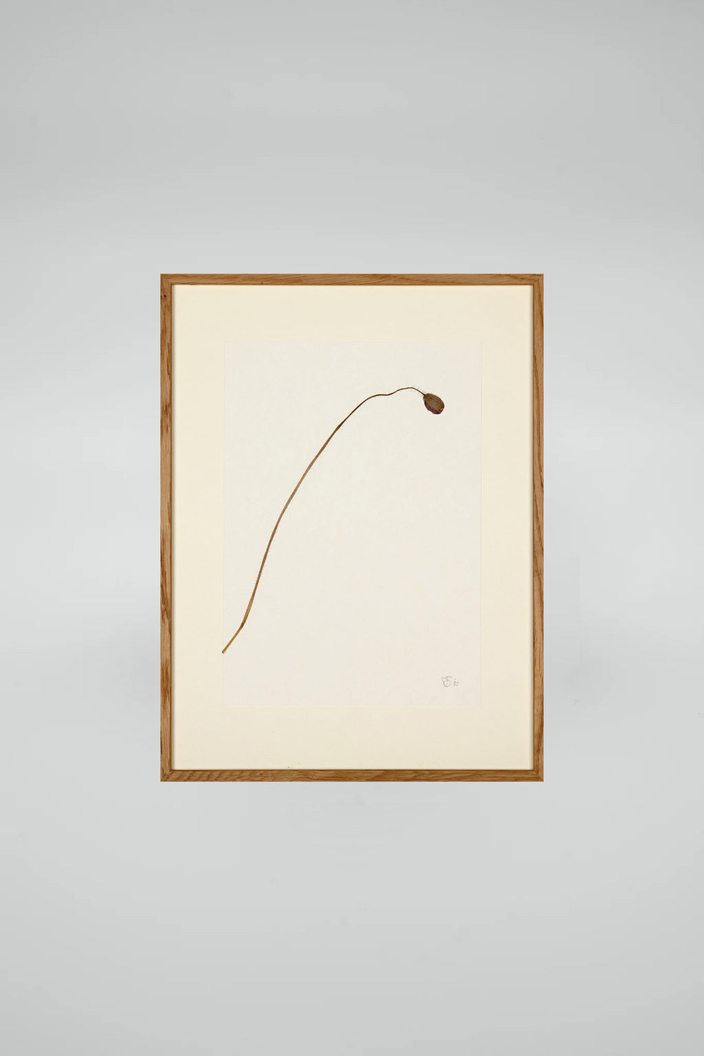 Mette Skjærbæk, Hebarium, Poppy, Small, 01
