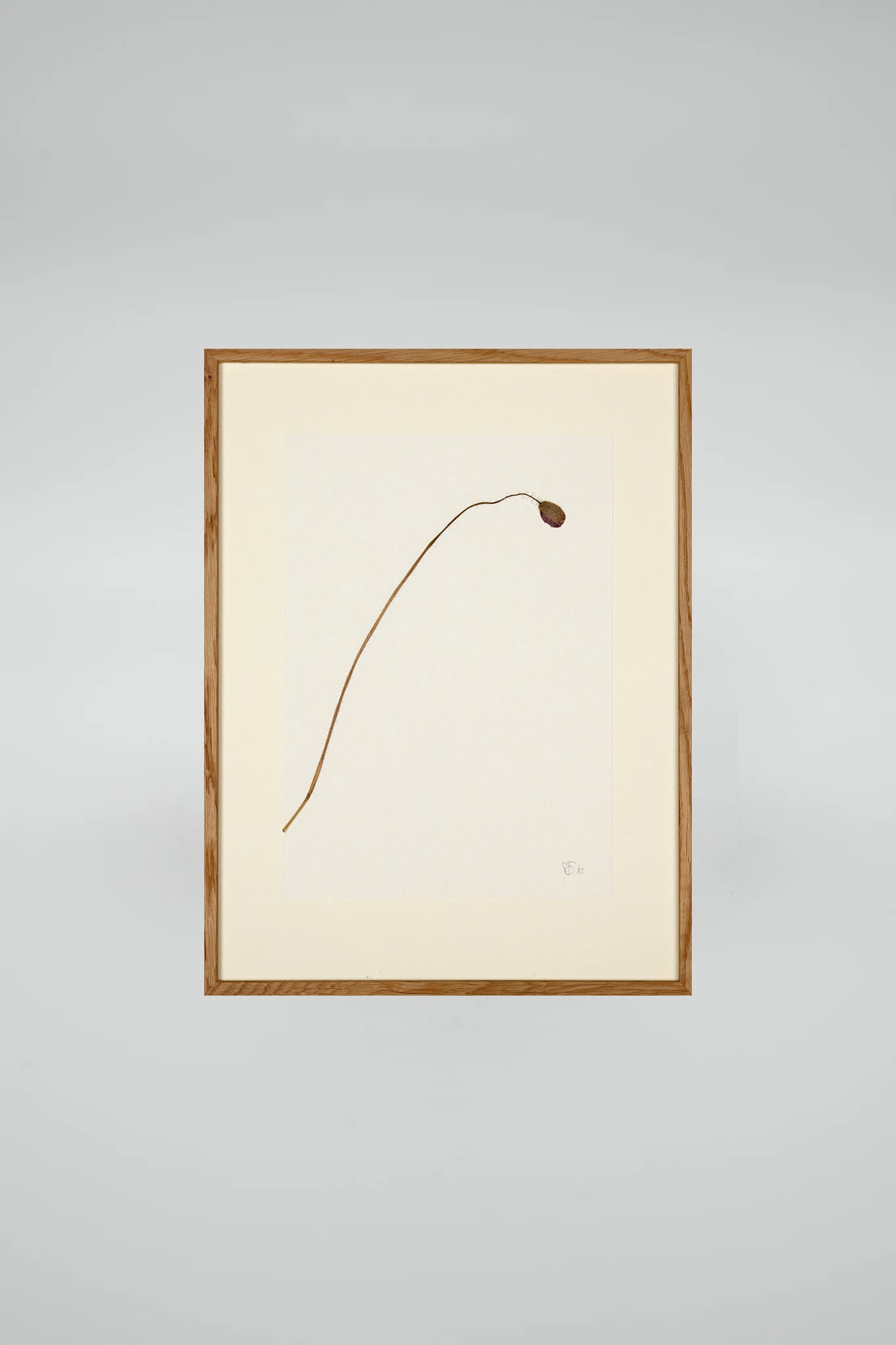 Mette Skjærbæk, Hebarium, Poppy, Small, 01