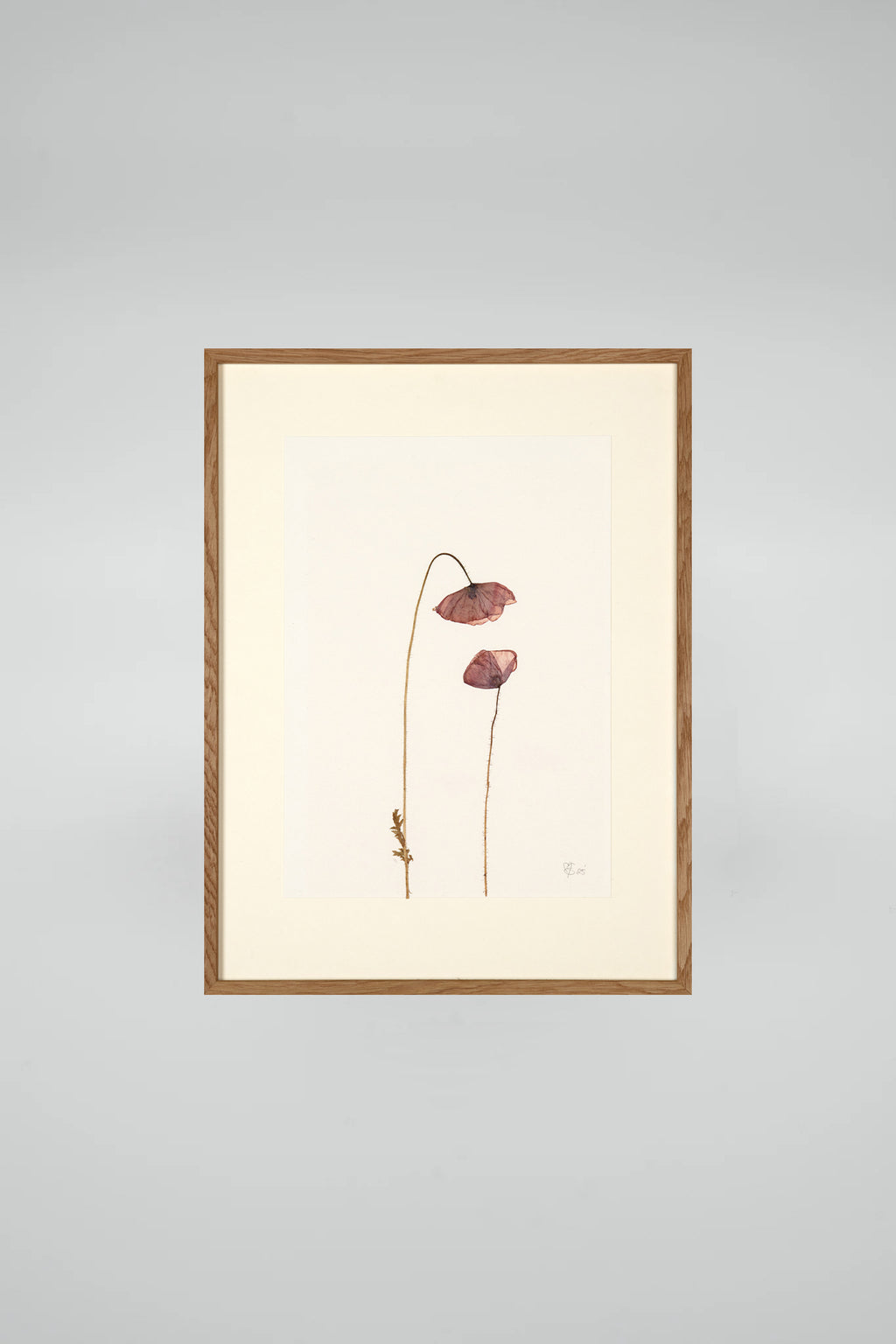 Mette Skjærbæk, Hebarium, Poppy, Small, 02
