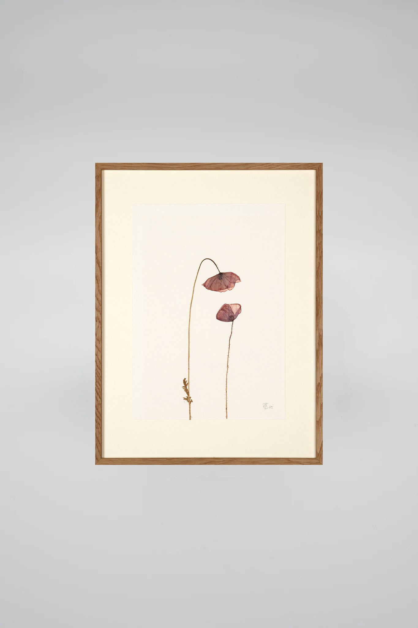 Mette Skjærbæk, Hebarium, Poppy, Small, 02