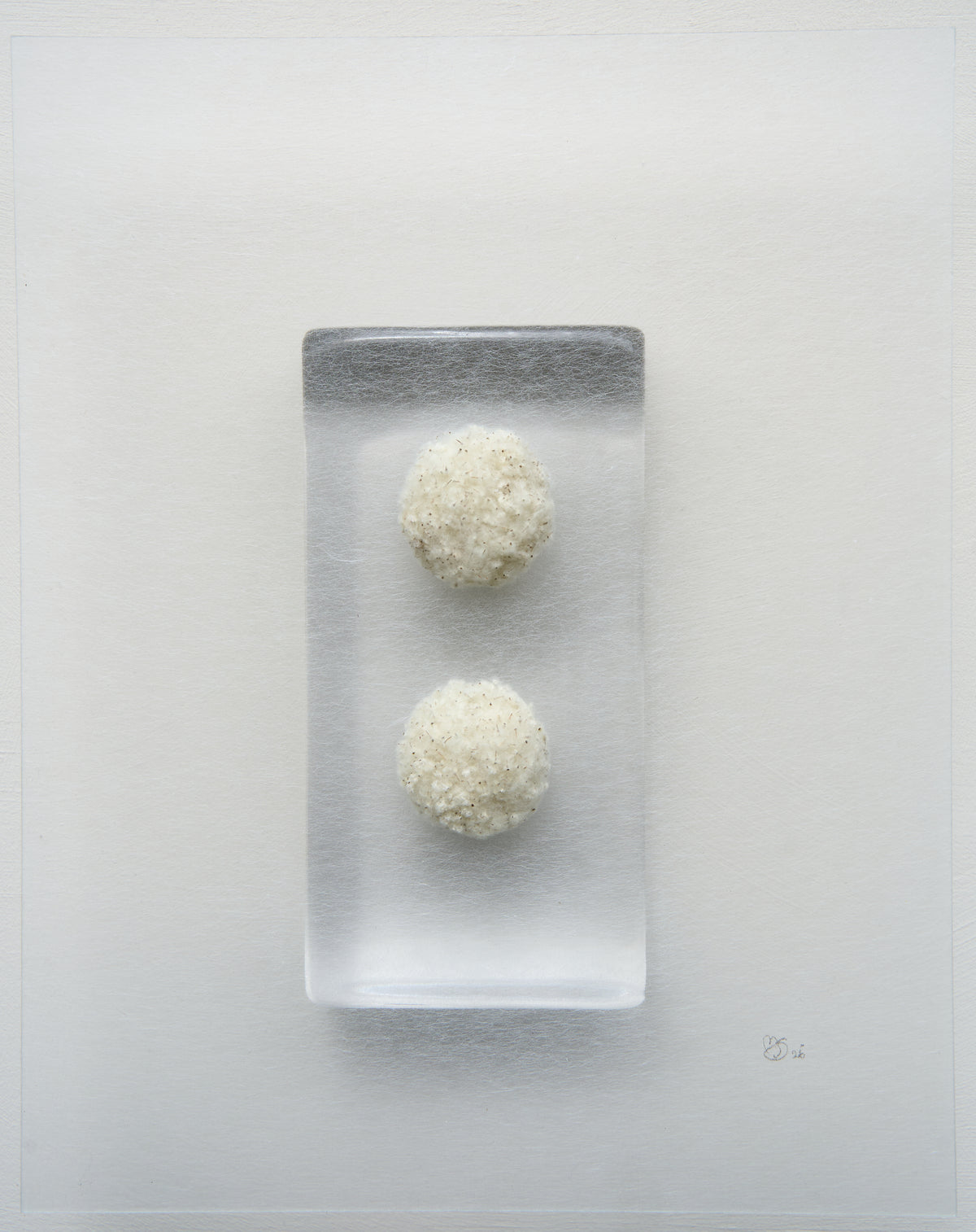 Mette Skjærbæk, Hebarium, Duality