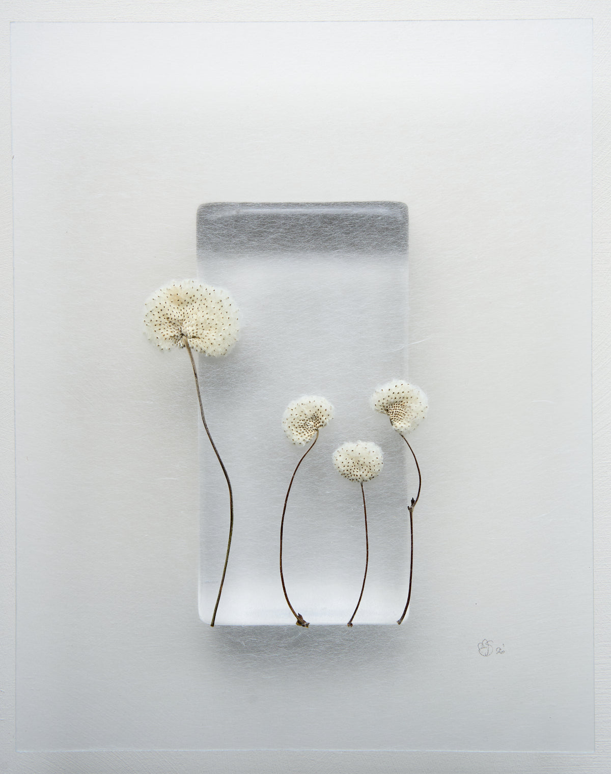 Mette Skjærbæk, Hebarium, Kin 4