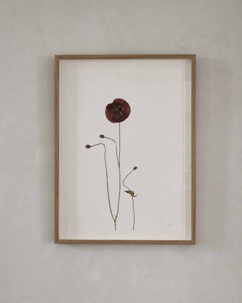 Mette Skjærbæk, Hebarium, Poppy, Large, 01
