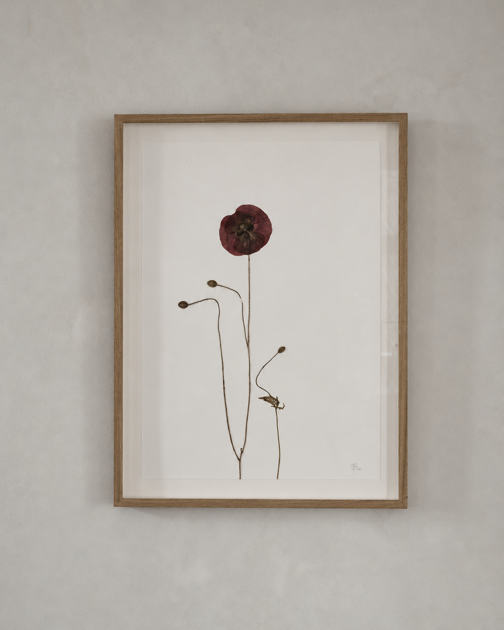 Mette Skjærbæk, Hebarium, Poppy, Large, 01