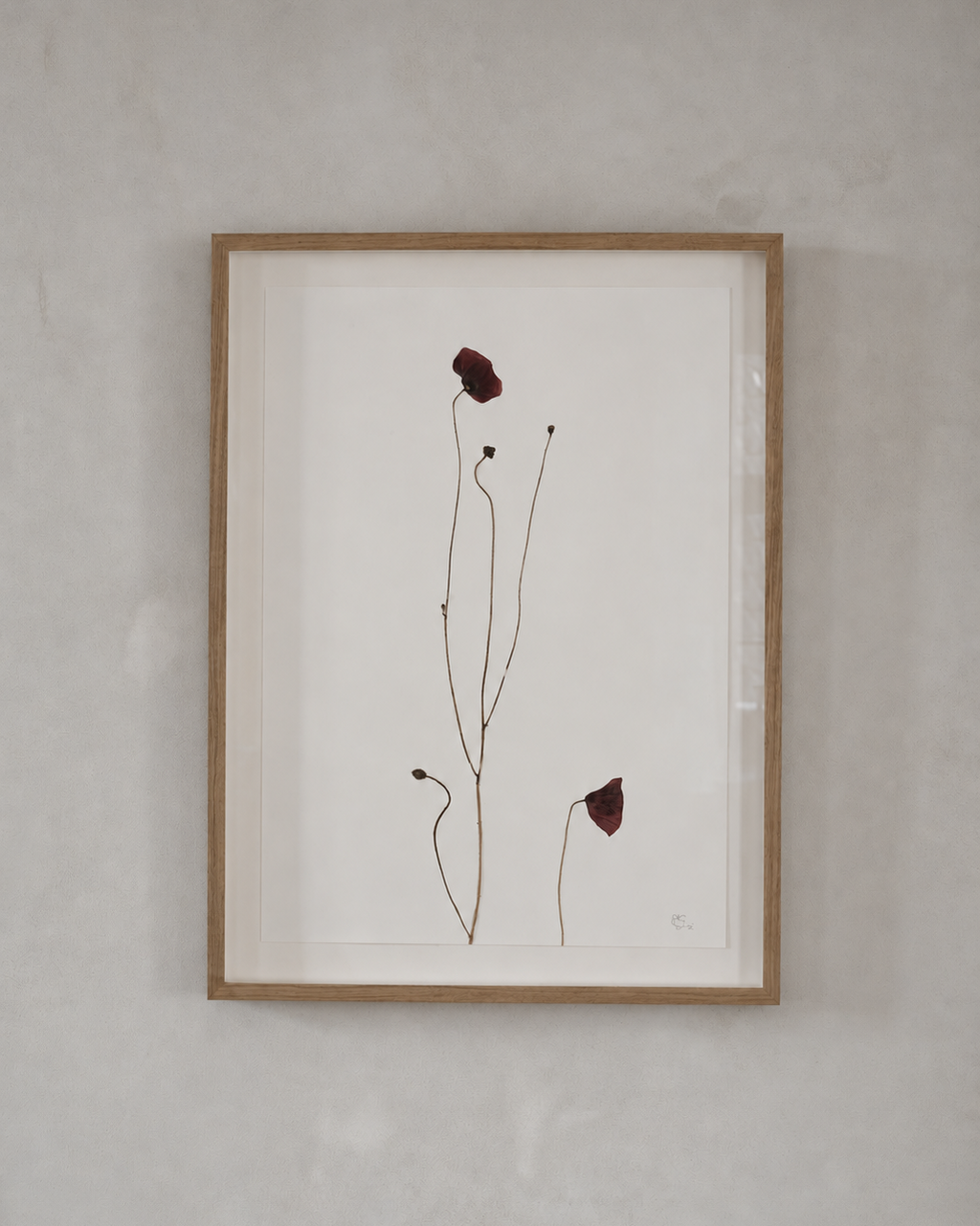 Mette Skjærbæk, Hebarium, Poppy, Large, 02