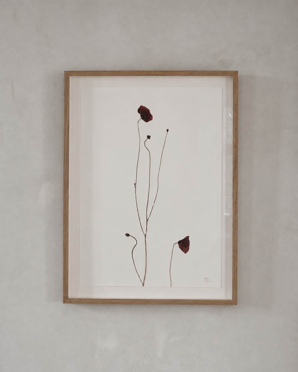Mette Skjærbæk, Hebarium, Poppy, Large, 02