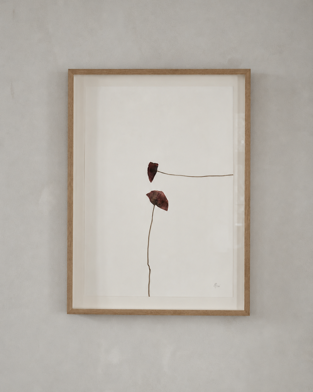 Mette Skjærbæk, Hebarium, Poppy, Large, 03