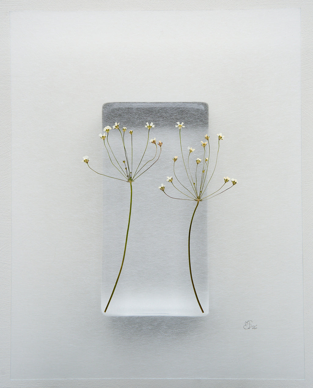 Mette Skjærbæk, Hebarium, Tête-à-tête