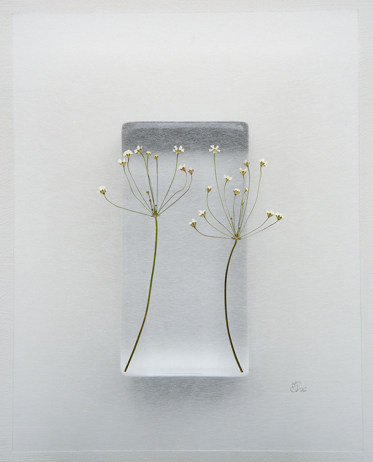 Mette Skjærbæk, Hebarium, Tête-à-tête