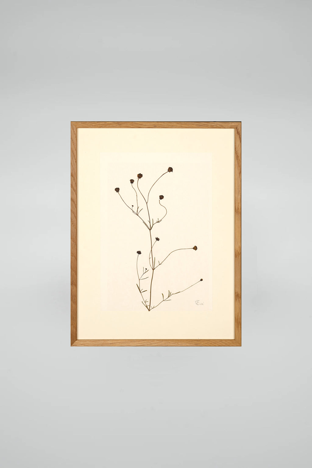 Mette Skjærbæk, Chamomile, Small, 02