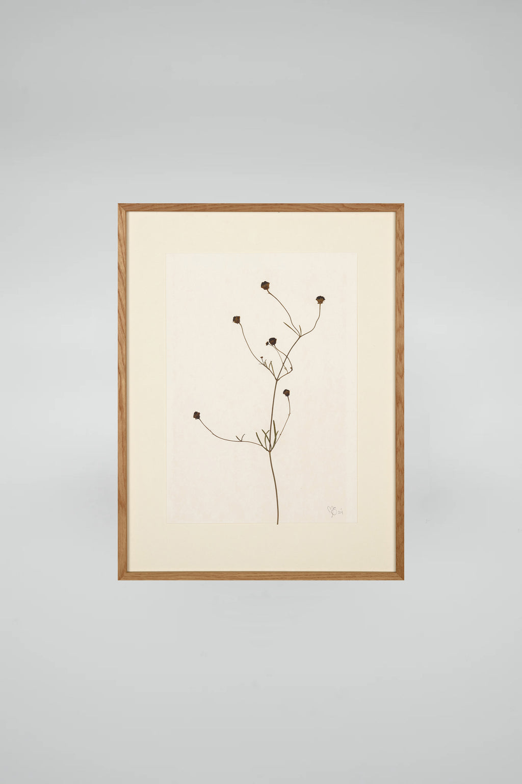 Mette Skjærbæk, Chamomile, Small, 01